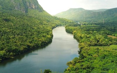 Will International Carbon Markets Finally Deliver?